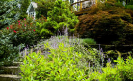 Hillside Landscape Design Grand Rapids